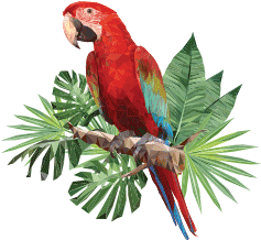 Tropical bird image